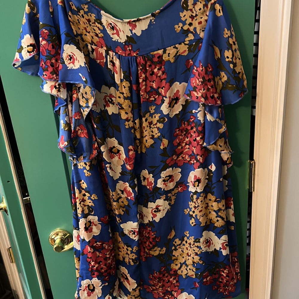 Beautiful Umgee top with cap sleeves. Lined. - Picture 4 of 6